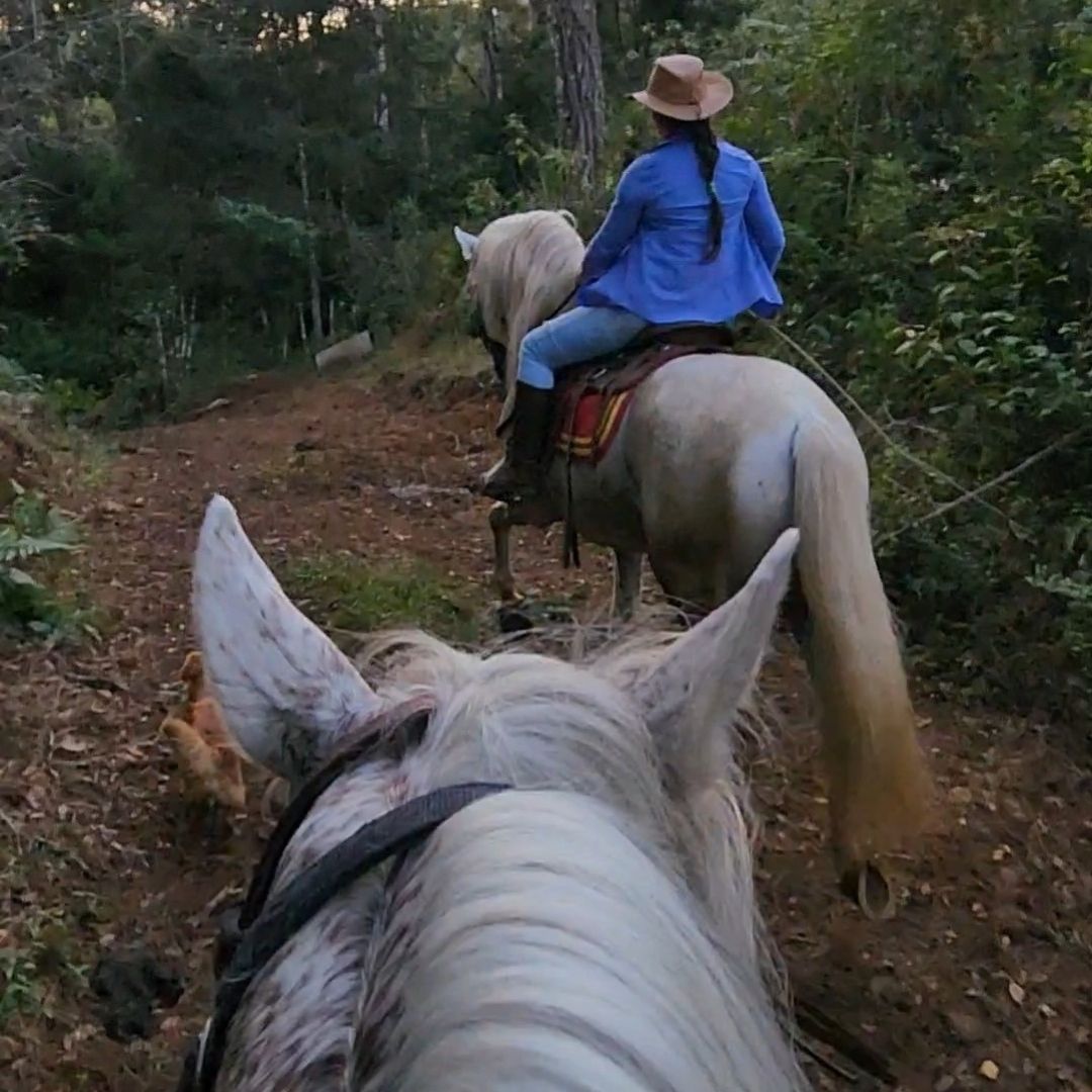 Experiencia en la finca 1