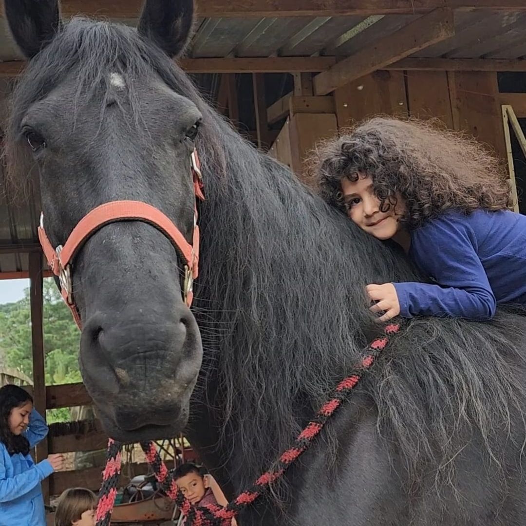 Experiencia en la finca 11
