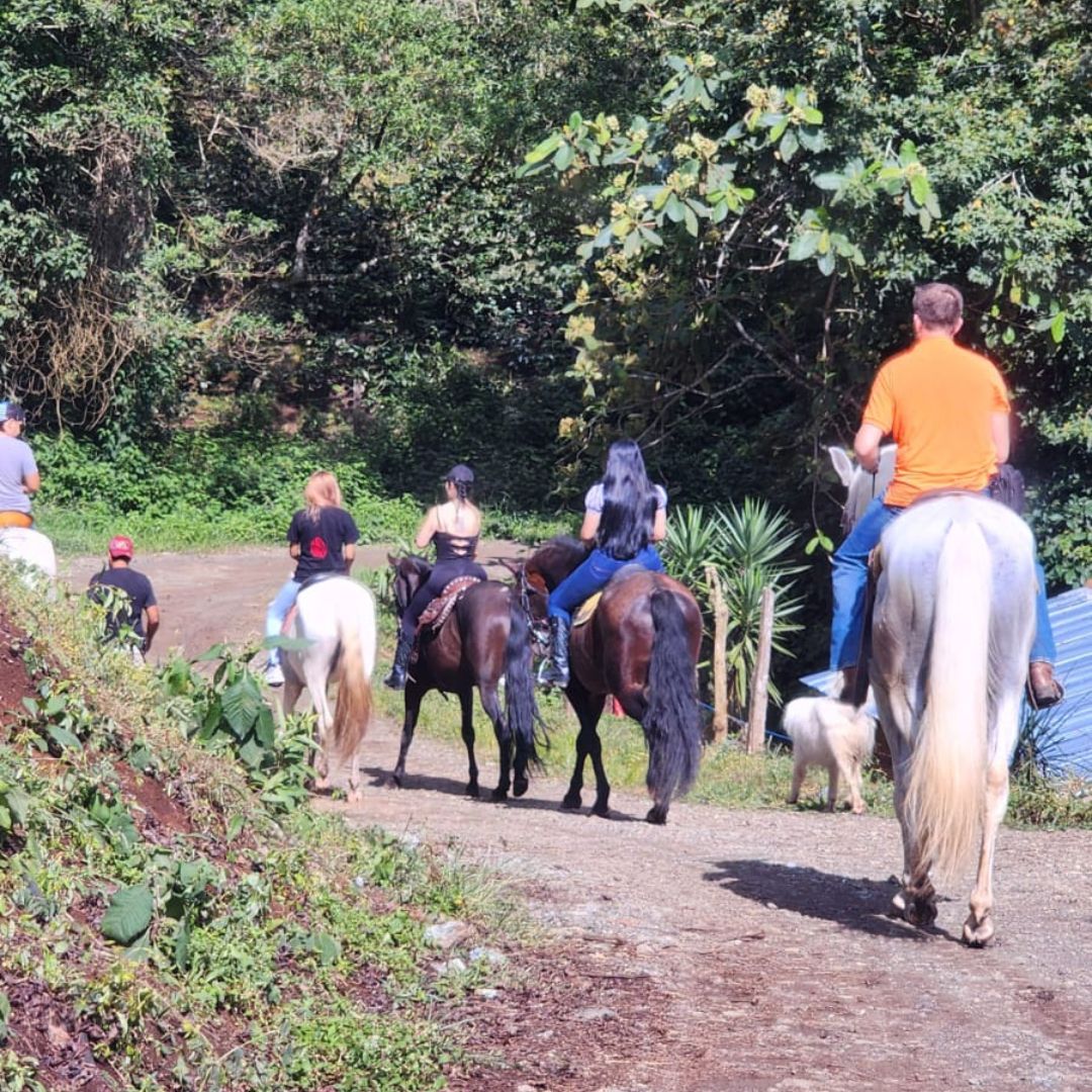 Experiencia en la finca 6