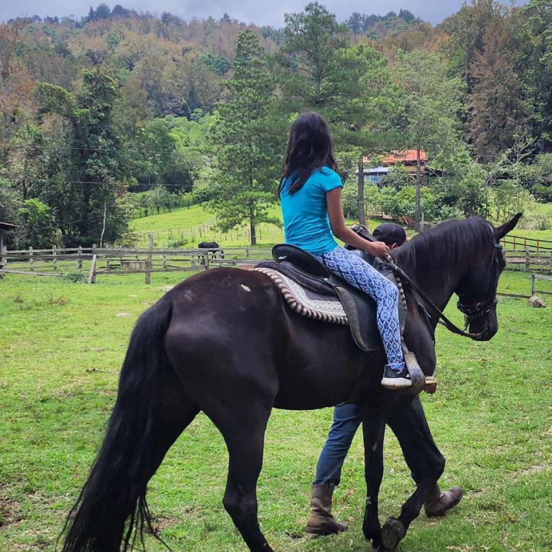 Experiencia en la finca 8