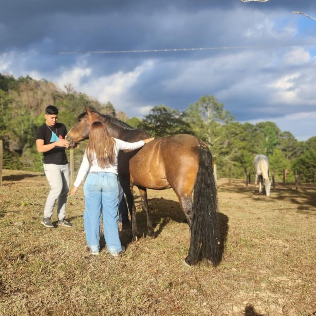 Experiencia en la finca 9